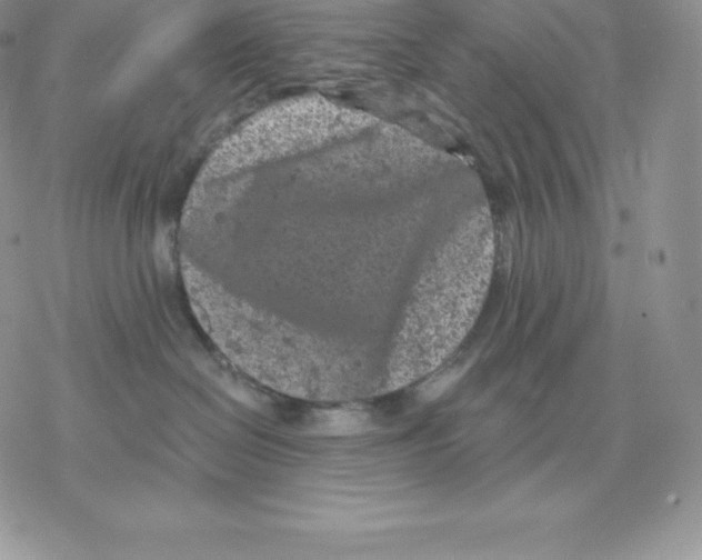 X0000077320286200611171750