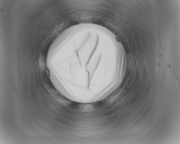 X0000077320287200611171750