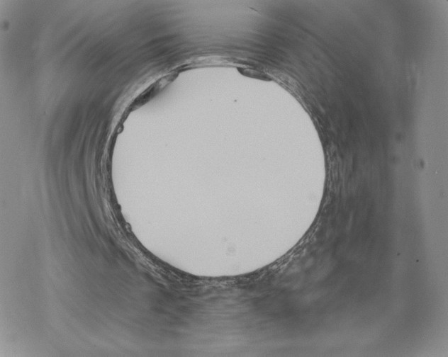 X0000077320289200611171749