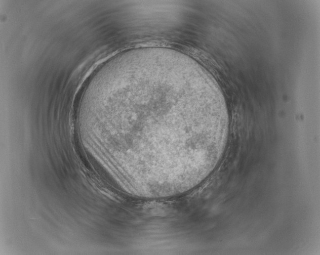 X0000077320290200611171749