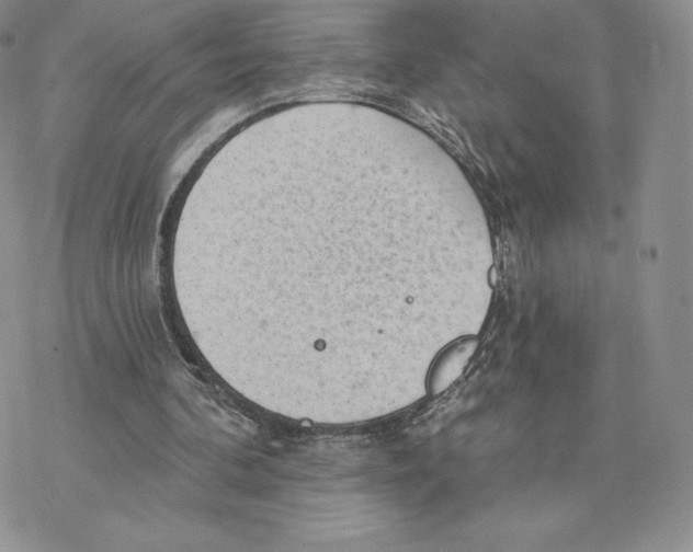 X0000077320292200611171749