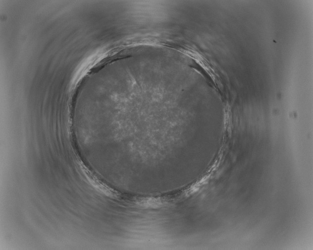 X0000077320293200611171749