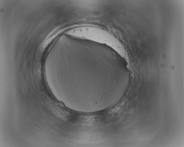 X0000077320295200611171749