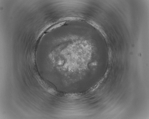 X0000077320297200611171749