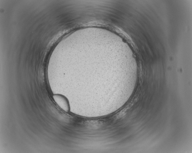 X0000077320298200611171749