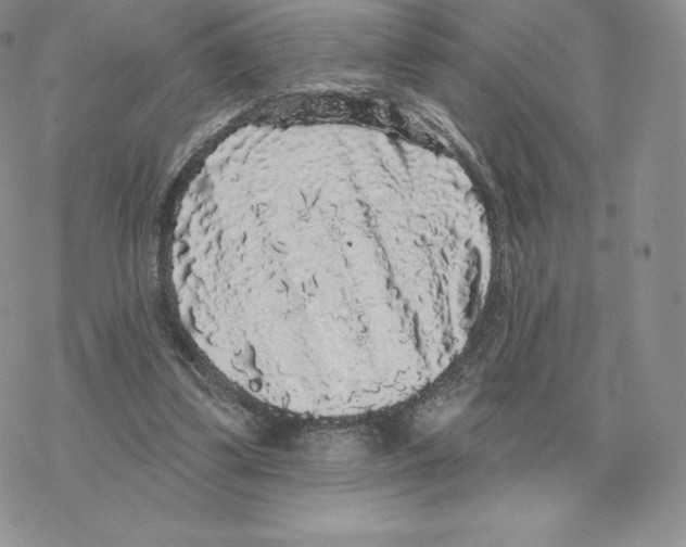 X0000077320299200611171749