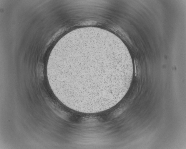 X0000077320300200611171749