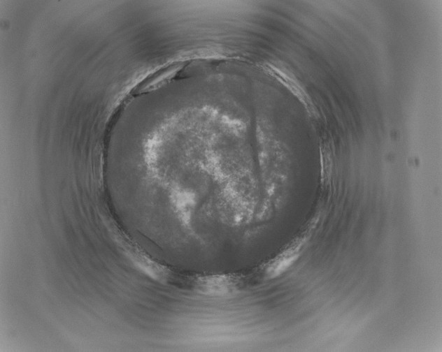 X0000077320301200611171749