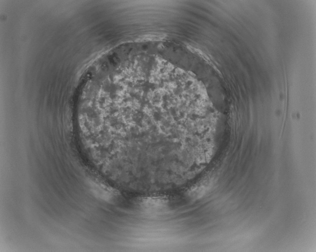 X0000077320303200611171749