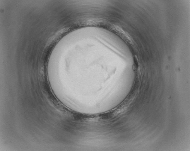 X0000077320306200611171749