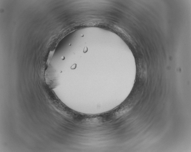 X0000077320307200611171749