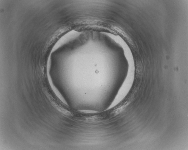 X0000077320309200611171749