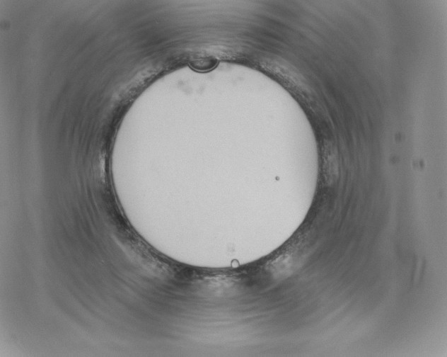 X0000077320310200611171749