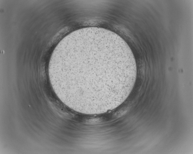 X0000077320312200611171749