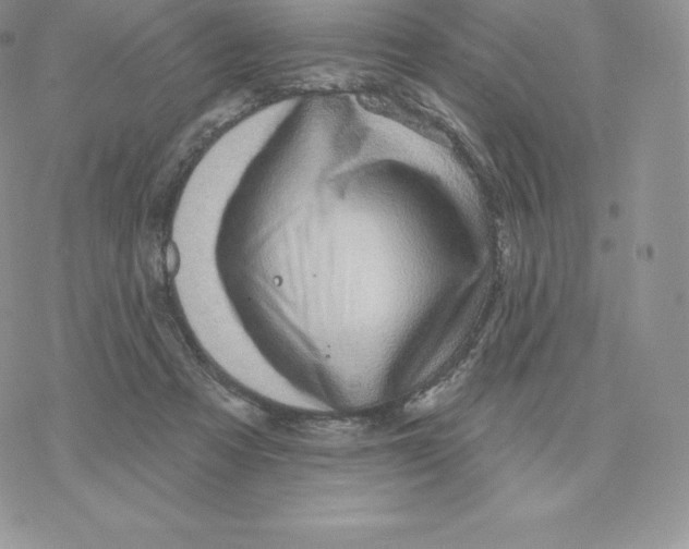 X0000077320313200611171749