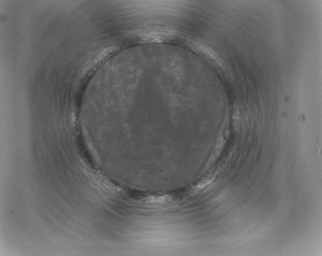 X0000077320314200611171749