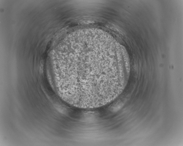 X0000077320315200611171749