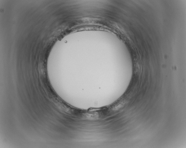 X0000077320317200611171749