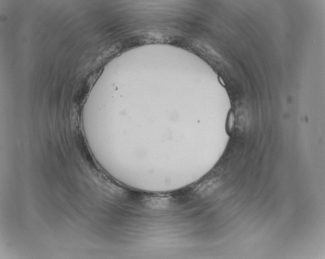 X0000077320318200611171749