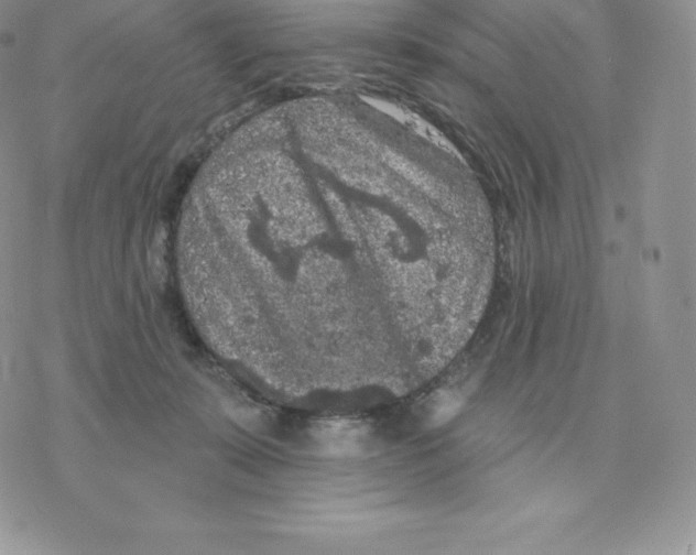 X0000077320319200611171749