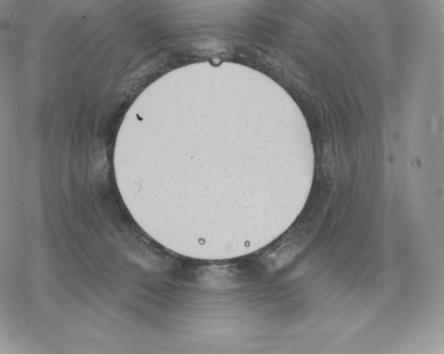 X0000077320320200611171749