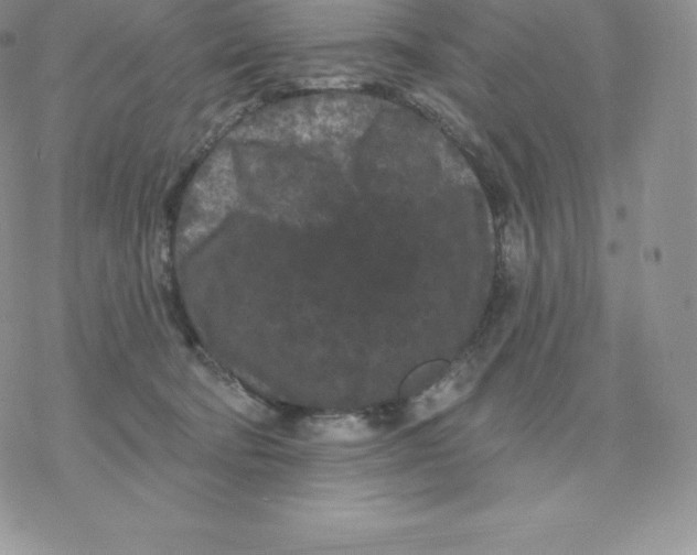 X0000077320322200611171749