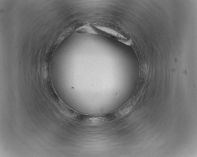 X0000077320323200611171749