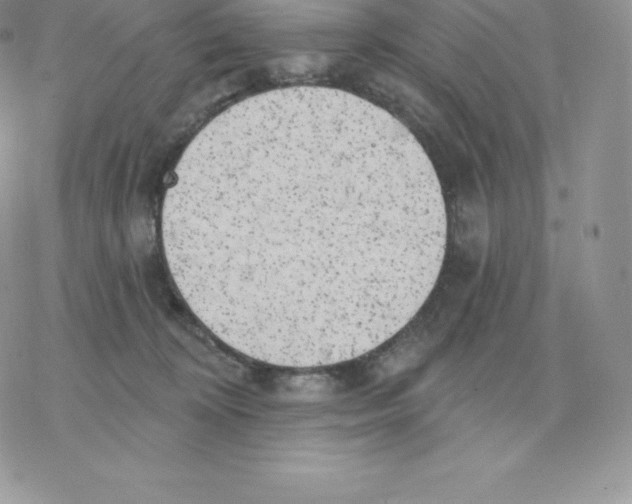 X0000077320324200611171749