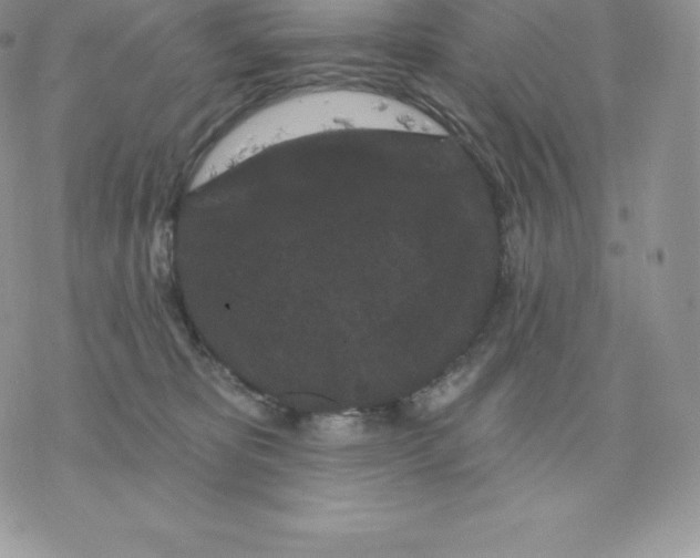 X0000077320325200611171749