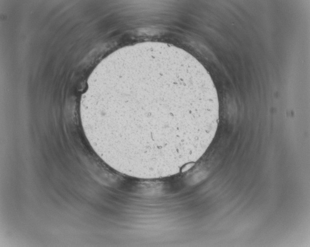 X0000077320328200611171749