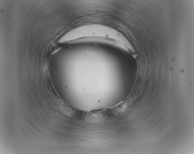 X0000077320329200611171749