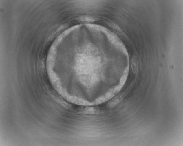 X0000077320330200611171749