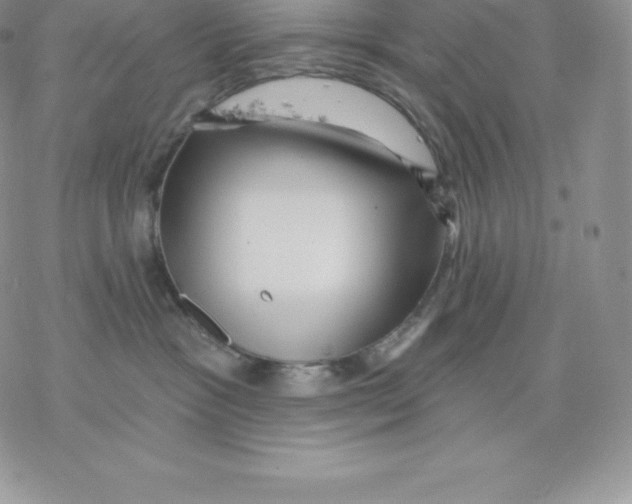 X0000077320333200611171749