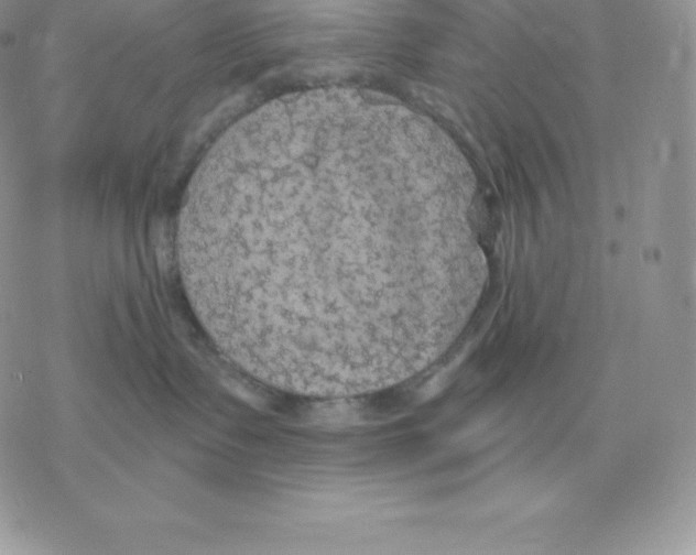 X0000077320335200611171748