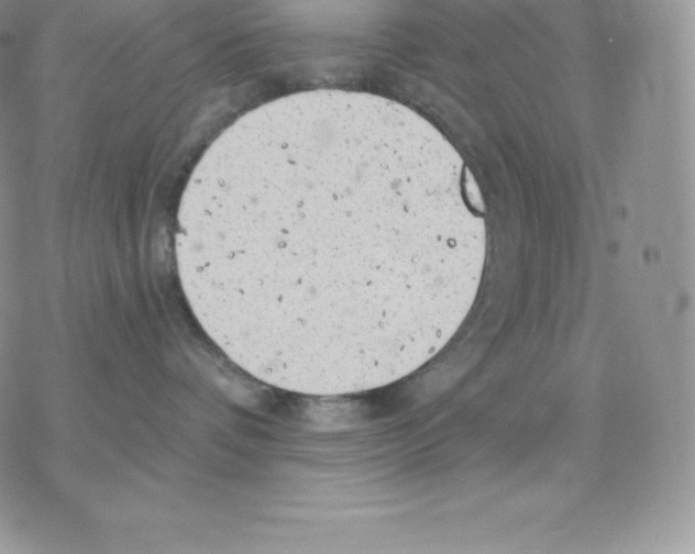 X0000077320336200611171748