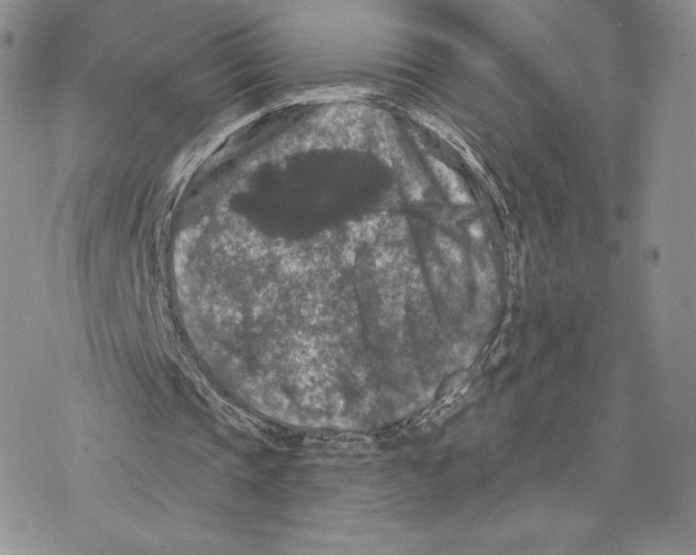 X0000077320337200611171748