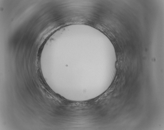 X0000077320338200611171748