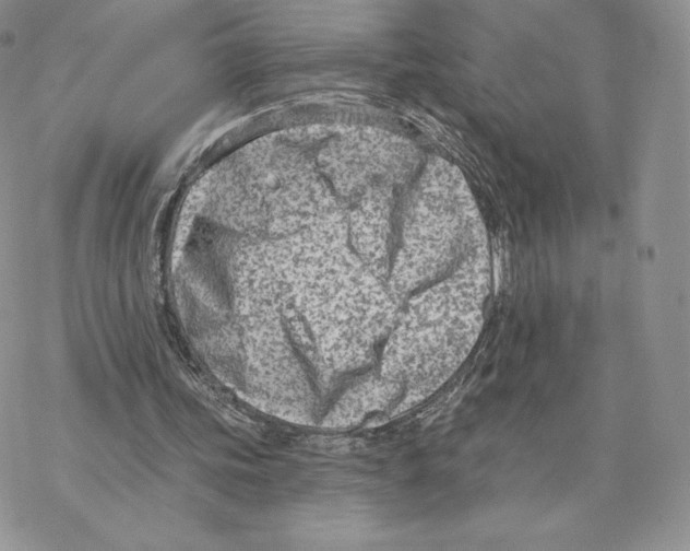 X0000077320339200611171748