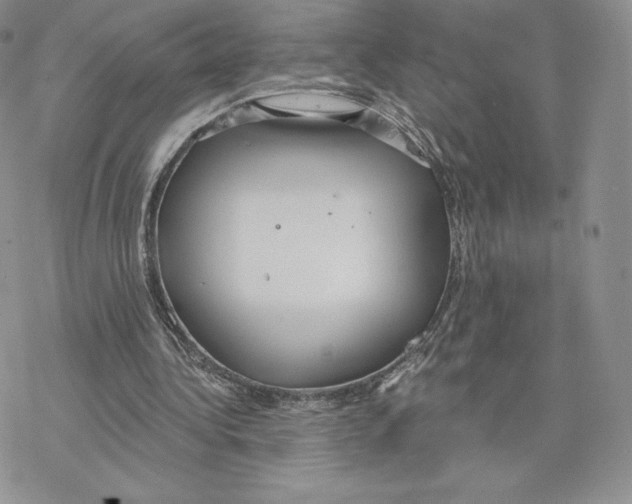 X0000077320340200611171748