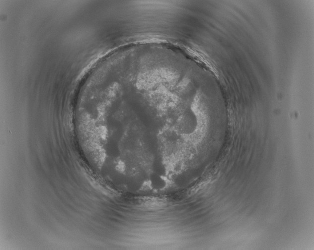 X0000077320347200611171748