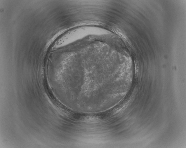 X0000077320348200611171748