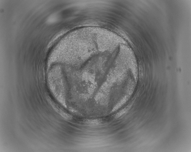 X0000077320349200611171748