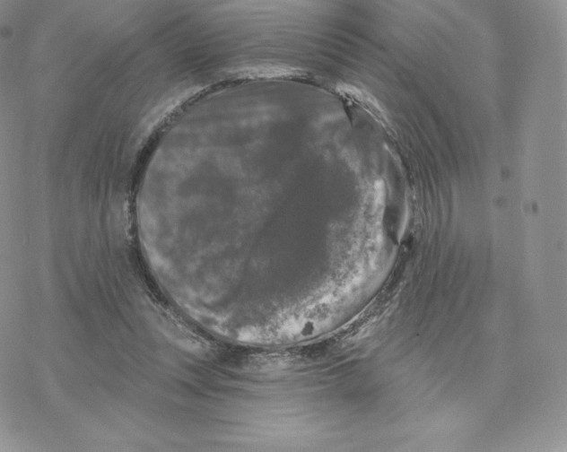 X0000077320351200611171748