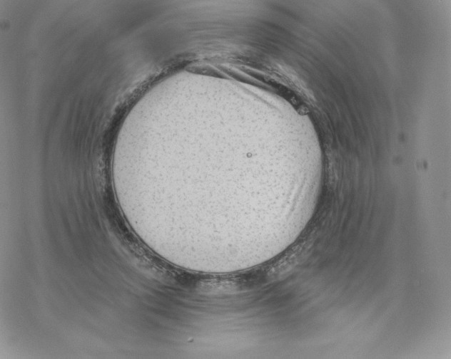 X0000077320354200611171748