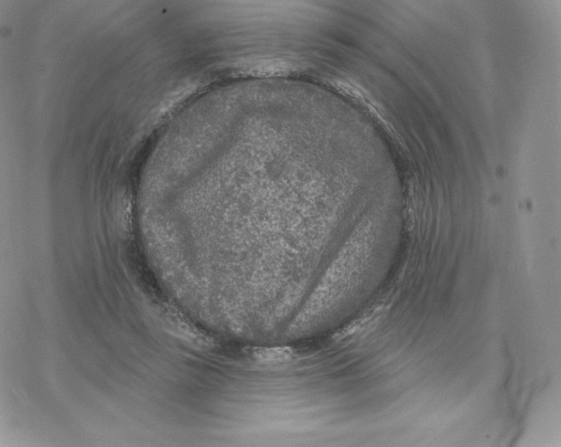 X0000077320355200611171748