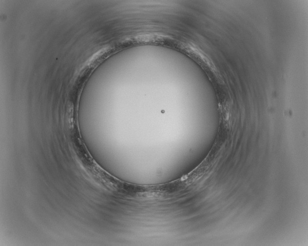 X0000077320356200611171748