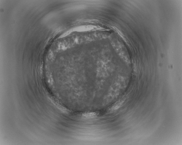 X0000077320357200611171748