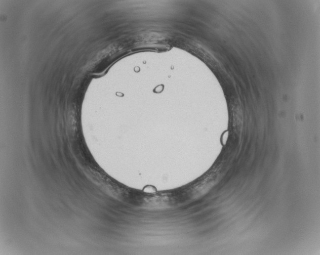 X0000077320362200611171748