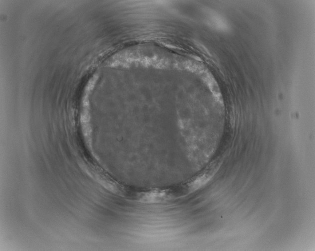 X0000077320366200611171748