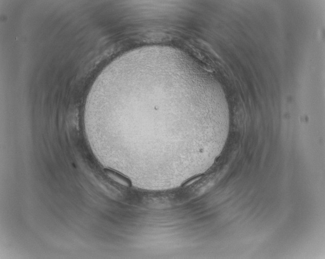 X0000077320368200611171748